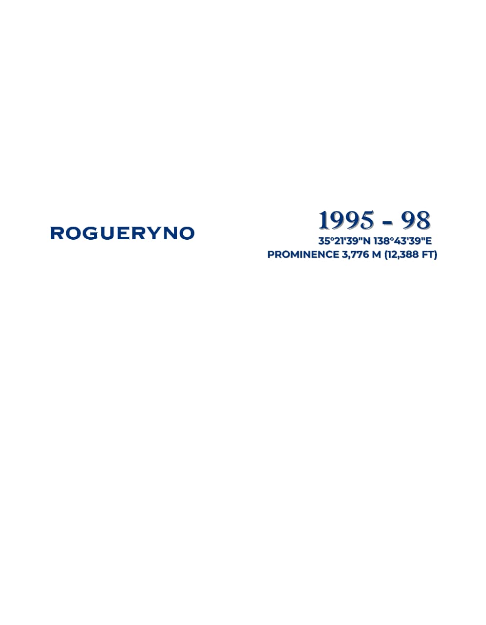 Classic Oversized T-Shirt